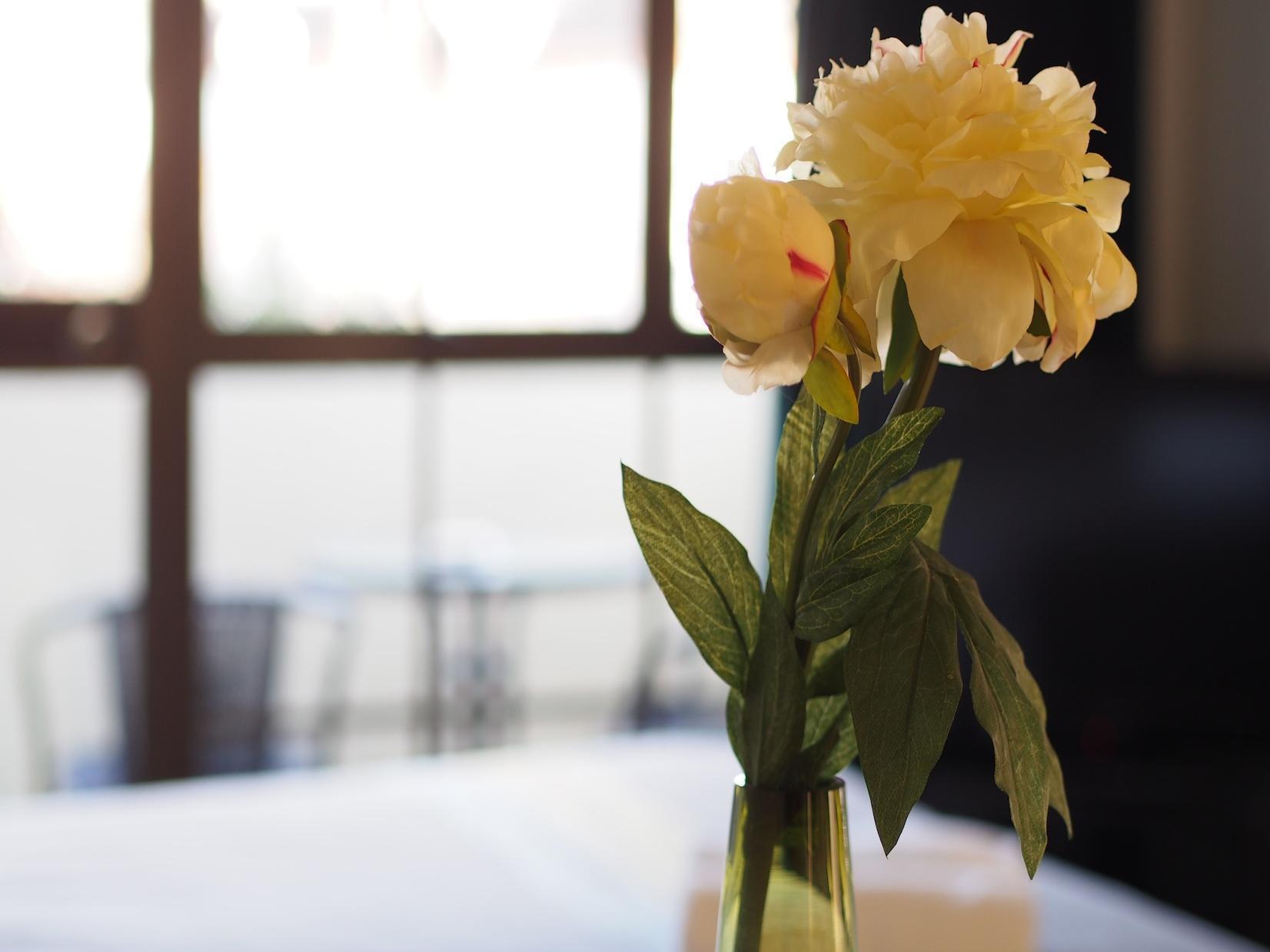 Tudor Court Motelクライストチャーチ エクステリア 写真